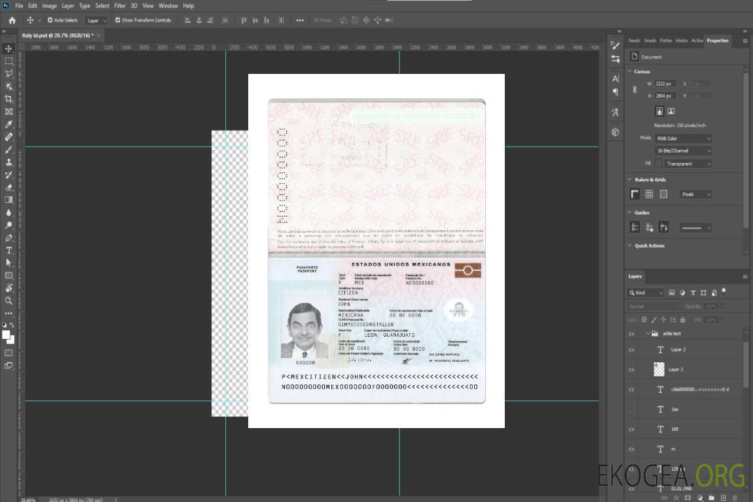 Passeport mexicain nouveau 2022-présent template